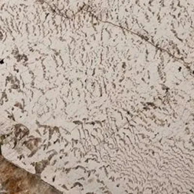 Mesada de granito Alpinus